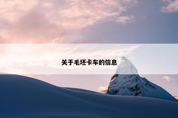 关于毛坯卡车的信息
