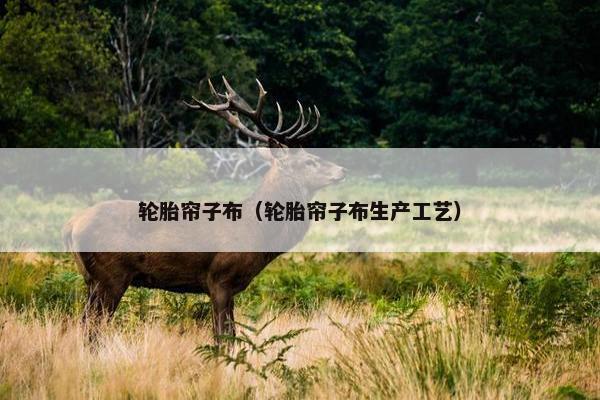 轮胎帘子布（轮胎帘子布生产工艺）