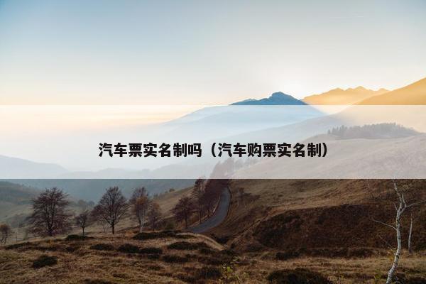 汽车票实名制吗（汽车购票实名制）