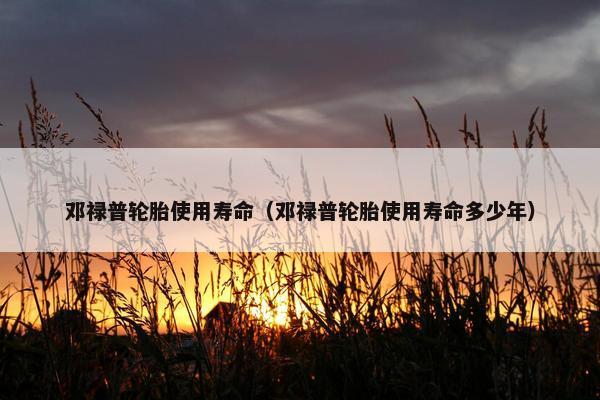 邓禄普轮胎使用寿命（邓禄普轮胎使用寿命多少年）