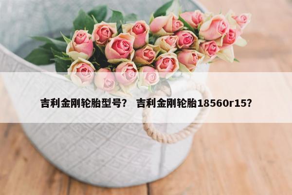 吉利金刚轮胎型号？ 吉利金刚轮胎18560r15？