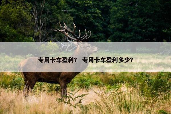 专用卡车盈利？ 专用卡车盈利多少？