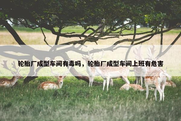 轮胎厂成型车间有毒吗，轮胎厂成型车间上班有危害