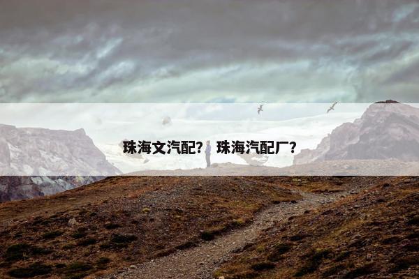 珠海文汽配？ 珠海汽配厂？