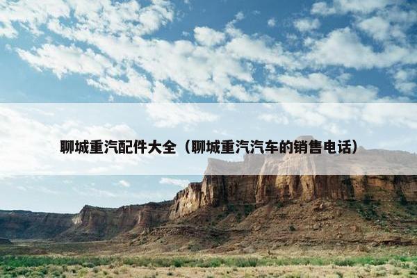 聊城重汽配件大全（聊城重汽汽车的销售电话）