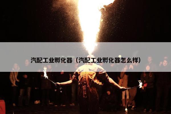 汽配工业孵化器（汽配工业孵化器怎么样）