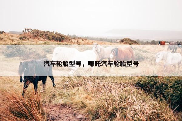 汽车轮胎型号，哪吒汽车轮胎型号