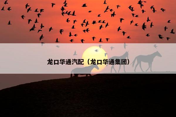 龙口华通汽配（龙口华通集团）