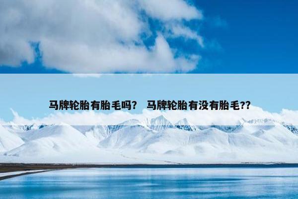 马牌轮胎有胎毛吗？ 马牌轮胎有没有胎毛?？