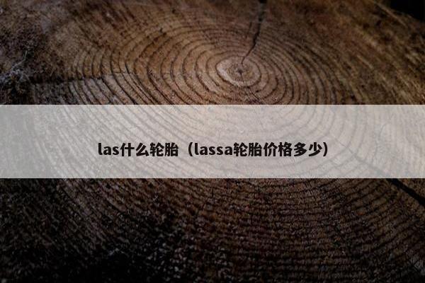 las什么轮胎（lassa轮胎价格多少）