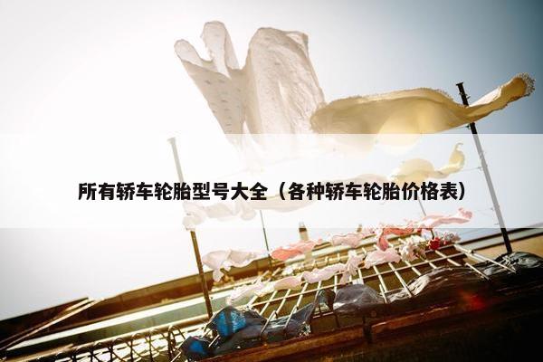 所有轿车轮胎型号大全（各种轿车轮胎价格表）