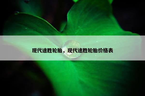 现代途胜轮胎，现代途胜轮胎价格表