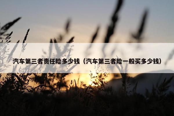 汽车第三者责任险多少钱（汽车第三者险一般买多少钱）
