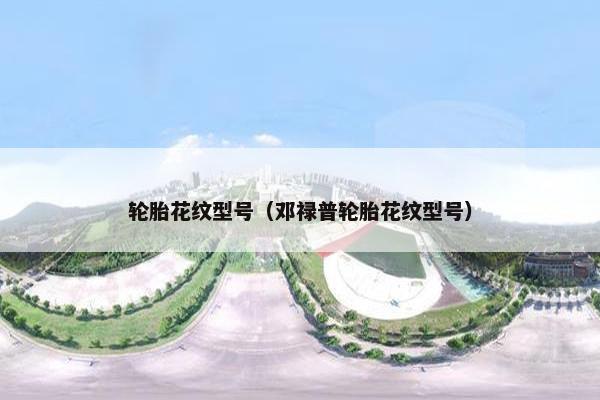 轮胎花纹型号（邓禄普轮胎花纹型号）