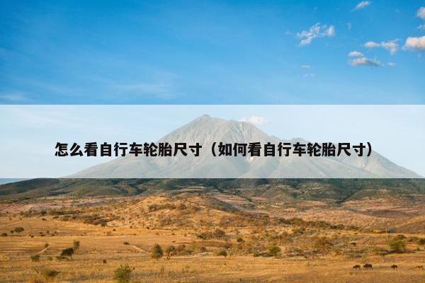 怎么看自行车轮胎尺寸（如何看自行车轮胎尺寸）