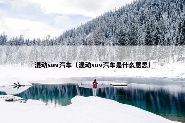 混动suv汽车（混动suv汽车是什么意思）