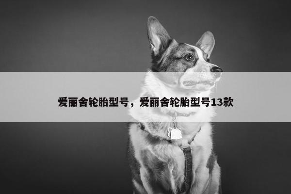 爱丽舍轮胎型号，爱丽舍轮胎型号13款