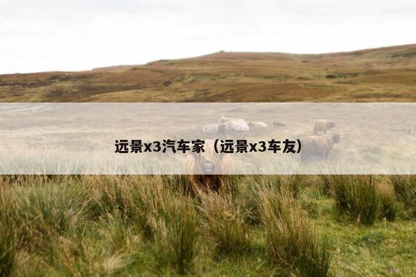 远景x3汽车家（远景x3车友）