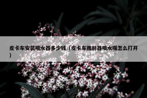 皮卡车安装喷水器多少钱（皮卡车雨刮器喷水嘴怎么打开）