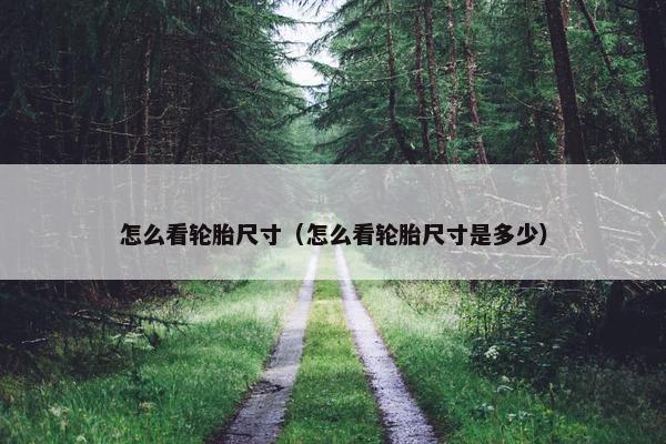 怎么看轮胎尺寸（怎么看轮胎尺寸是多少）