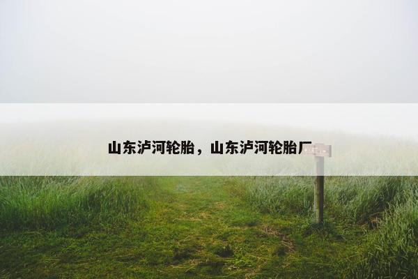 山东泸河轮胎，山东泸河轮胎厂
