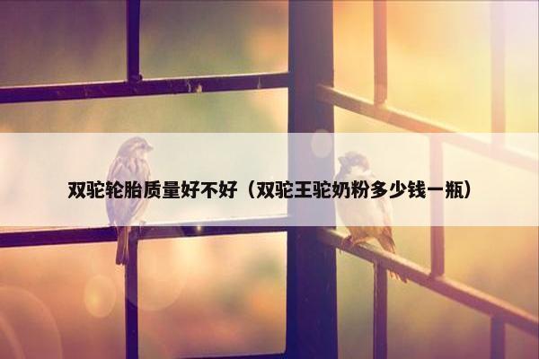 双驼轮胎质量好不好（双驼王驼奶粉多少钱一瓶）