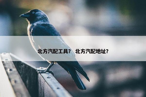 北方汽配工具？ 北方汽配地址？