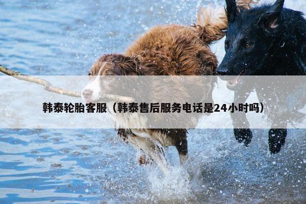 韩泰轮胎客服（韩泰售后服务电话是24小时吗）