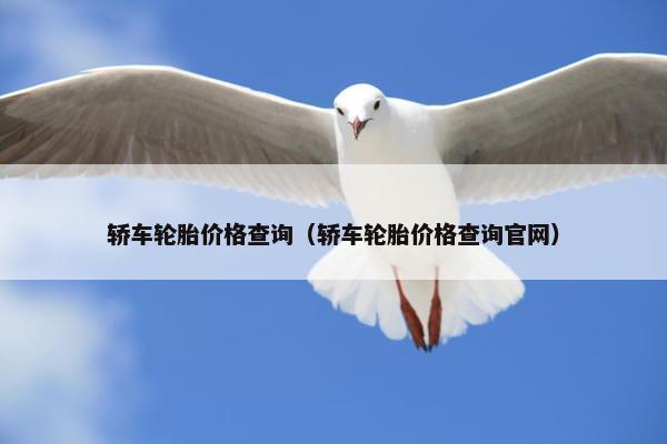 轿车轮胎价格查询（轿车轮胎价格查询官网）
