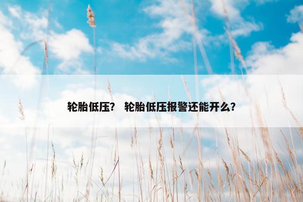 轮胎低压？ 轮胎低压报警还能开么？