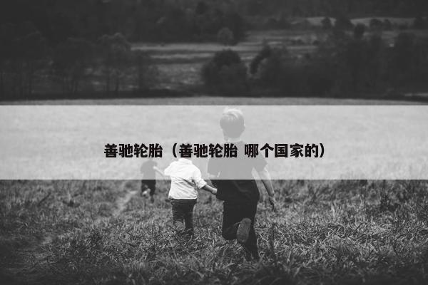 善驰轮胎（善驰轮胎 哪个国家的）