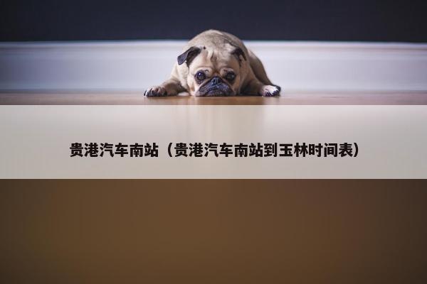 贵港汽车南站（贵港汽车南站到玉林时间表）