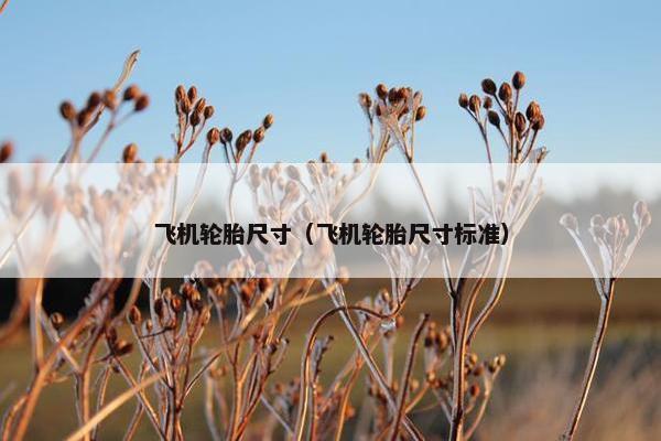 飞机轮胎尺寸（飞机轮胎尺寸标准）