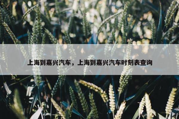 上海到嘉兴汽车，上海到嘉兴汽车时刻表查询