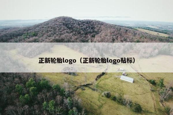 正新轮胎logo（正新轮胎logo贴标）