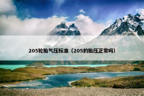 205轮胎气压标准（205的胎压正常吗）