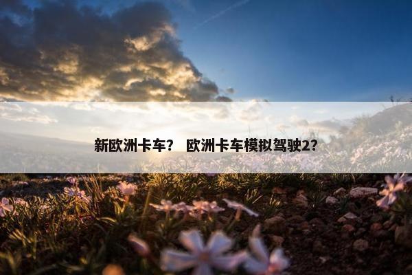 新欧洲卡车？ 欧洲卡车模拟驾驶2？