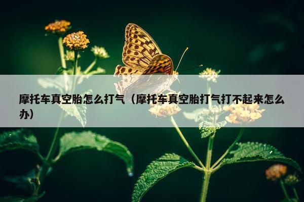 摩托车真空胎怎么打气（摩托车真空胎打气打不起来怎么办）