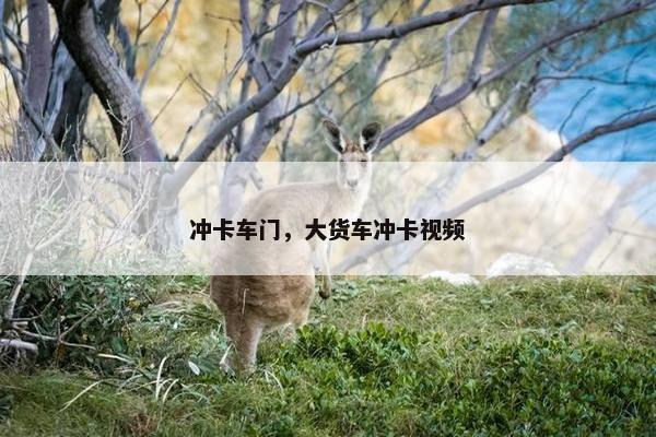 冲卡车门，大货车冲卡视频