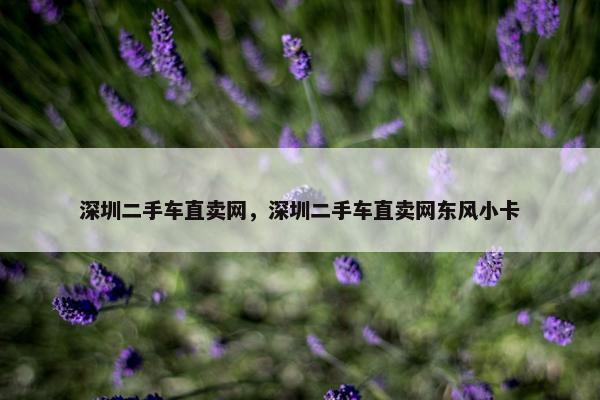 深圳二手车直卖网，深圳二手车直卖网东风小卡