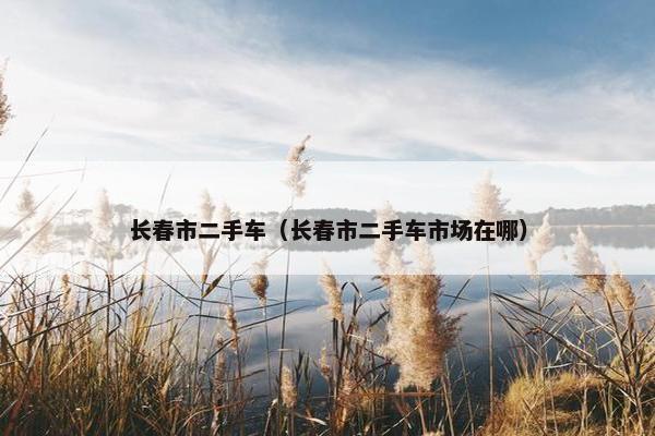 长春市二手车（长春市二手车市场在哪）