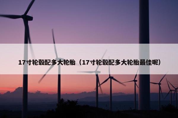 17寸轮毂配多大轮胎（17寸轮毂配多大轮胎最佳呢）