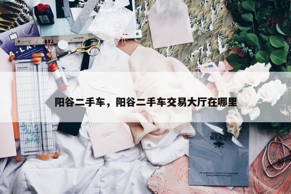 阳谷二手车，阳谷二手车交易大厅在哪里