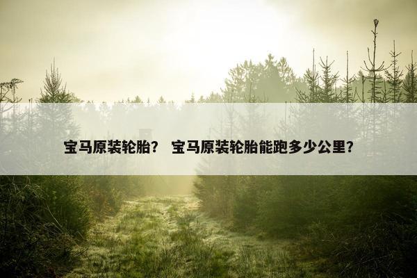 宝马原装轮胎？ 宝马原装轮胎能跑多少公里？