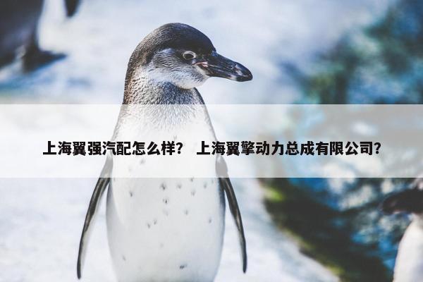 上海翼强汽配怎么样？ 上海翼擎动力总成有限公司？