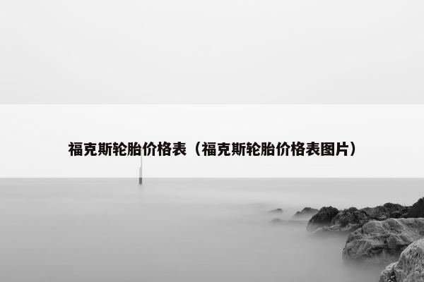 福克斯轮胎价格表（福克斯轮胎价格表图片）