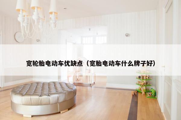 宽轮胎电动车优缺点（宽胎电动车什么牌子好）