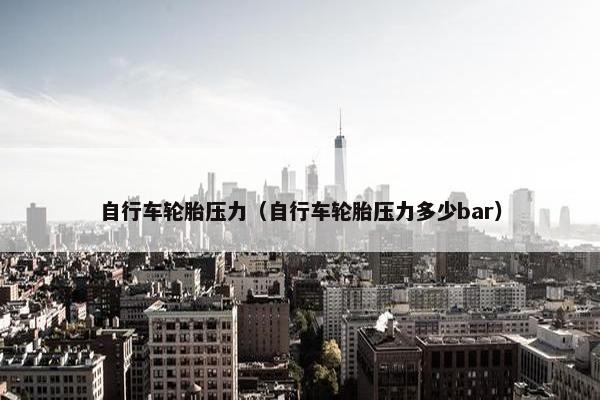 自行车轮胎压力（自行车轮胎压力多少bar）