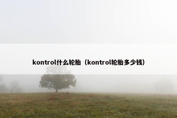 kontrol什么轮胎（kontrol轮胎多少钱）