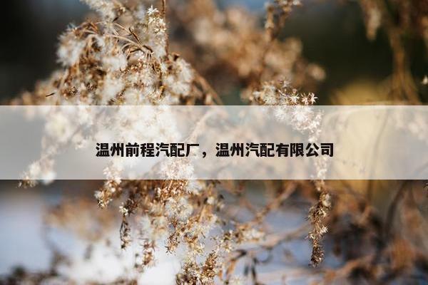 温州前程汽配厂，温州汽配有限公司